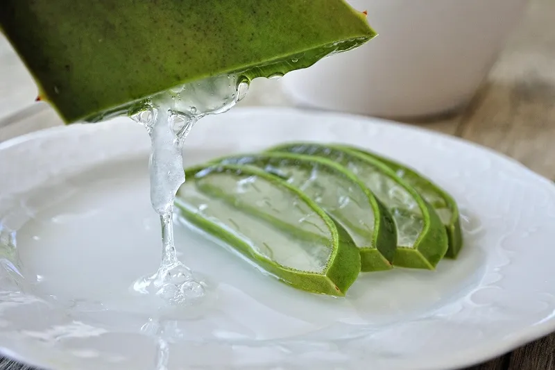 Za &scaron;ta je dobra aloe vera